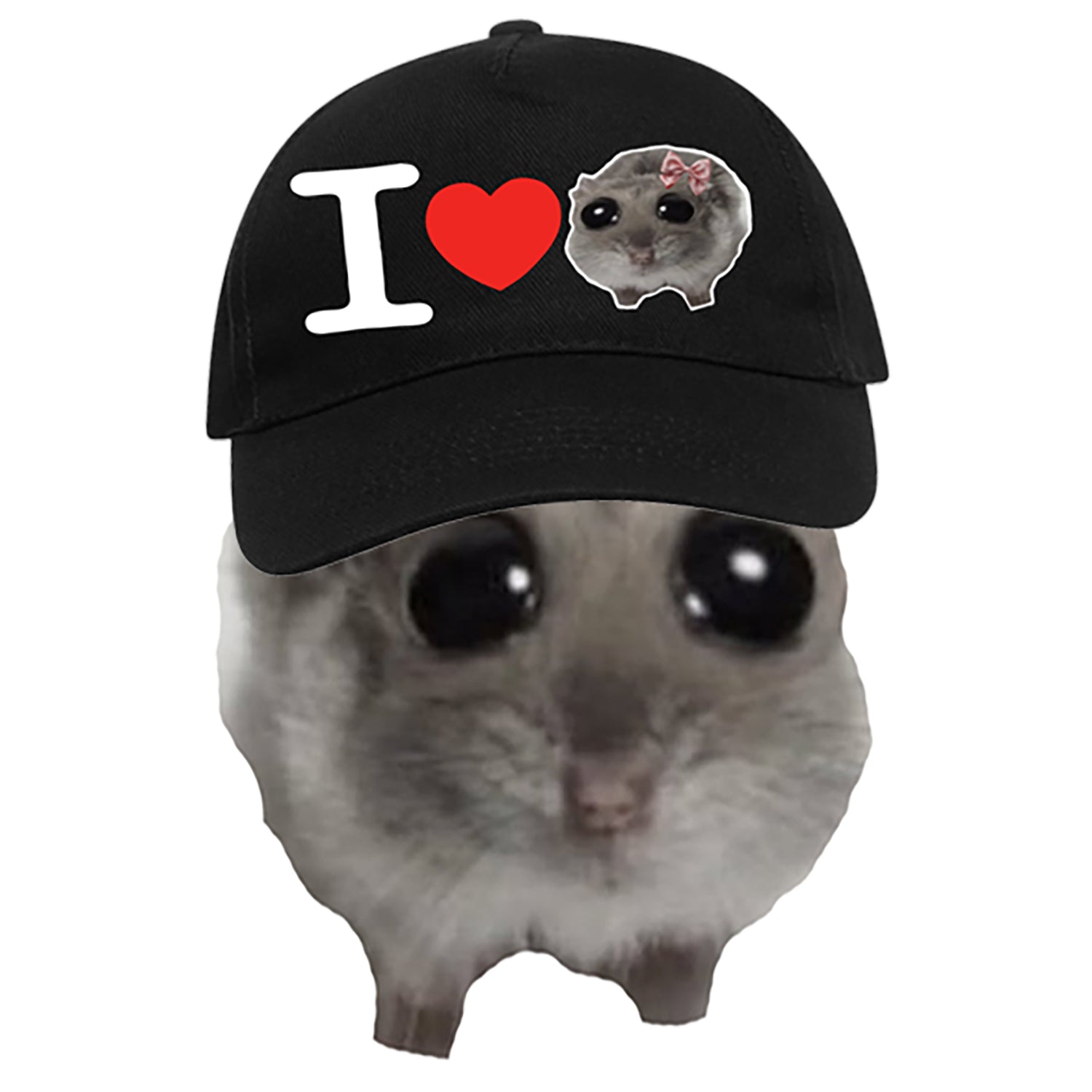 Hamster Meme